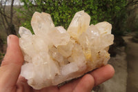 Natural Mixed Quartz Clusters x 4 From Madagascar