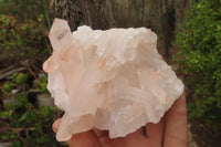 Natural Mixed Quartz Clusters x 4 From Madagascar