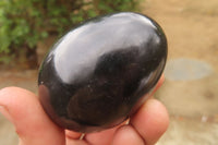 Polished Black Basalt Eggs x 6 From Madagascar