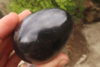 Polished Black Basalt Eggs x 6 From Madagascar