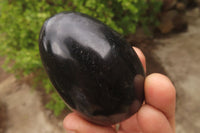 Polished Black Basalt Eggs x 6 From Madagascar