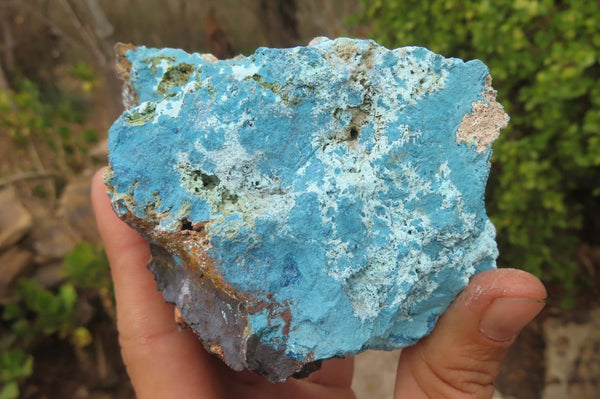 Natural Shattuckite Dolomite Specimens x 4 From Namibia