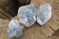 Natural Celestite Specimens x 12 From Sakoany, Madagascar