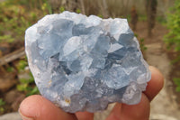 Natural Celestite Specimens x 12 From Sakoany, Madagascar