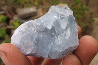 Natural Celestite Specimens x 12 From Sakoany, Madagascar