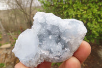 Natural Celestite Specimens x 12 From Sakoany, Madagascar