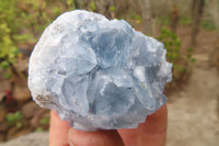 Natural Celestite Specimens x 12 From Sakoany, Madagascar