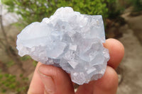 Natural Celestite Specimens x 12 From Sakoany, Madagascar