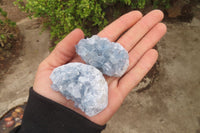 Natural Celestite Specimens x 12 From Sakoany, Madagascar