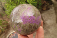 Polished Stichtite & Serpentine Spheres x 2 From Barberton, South Africa