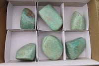 Polished Amazonite Free Forms x 6 From Madagascar