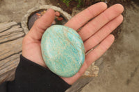 Polished Amazonite Free Forms x 6 From Madagascar