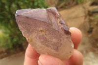 Natural Mixed Quartz Clusters x 12 From Brandberg, Namibia