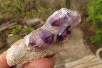 Natural Mixed Quartz Clusters x 12 From Brandberg, Namibia