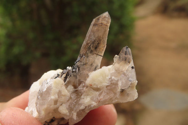 Natural Aegirine With Smokey Quartz Specimens x 70 From Zomba, Malawi