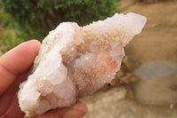 Natural Ametrine Spirit Quartz Clusters x 12 From Boekenhouthoek, South Africa