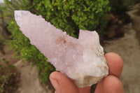 Natural Ametrine Spirit Quartz Clusters x 12 From Boekenhouthoek, South Africa