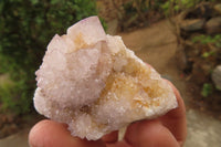 Natural Ametrine Spirit Quartz Clusters x 12 From Boekenhouthoek, South Africa