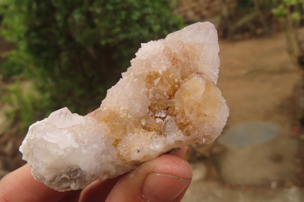 Natural Ametrine Spirit Quartz Clusters x 12 From Boekenhouthoek, South Africa