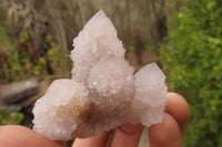 Natural Ametrine Spirit Quartz Clusters x 12 From Boekenhouthoek, South Africa