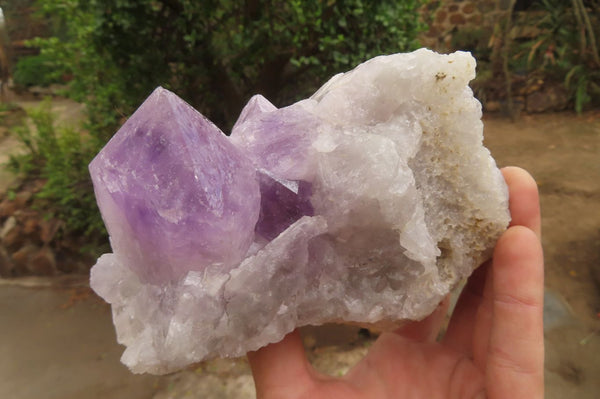 Natural Jacaranda Amethyst Clusters x 2 From Mumbwa, Zambia