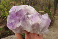 Natural Jacaranda Amethyst Clusters x 2 From Mumbwa, Zambia