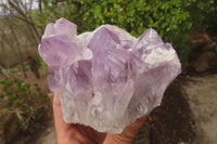 Natural Jacaranda Amethyst Clusters x 2 From Mumbwa, Zambia