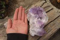 Natural Jacaranda Amethyst Clusters x 2 From Mumbwa, Zambia