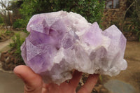 Natural Jacaranda Amethyst Clusters x 2 From Mumbwa, Zambia