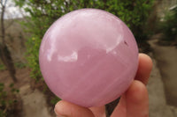 Polished Rose Quartz Spheres x 2 From Ambatondrazaka, Madagascar