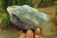 Polished Watermelon Fluorite Slices x 4 From Uis, Namibia