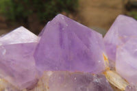 Natural Jacaranda Amethyst Clusters x 2 From Mumbwa, Zambia