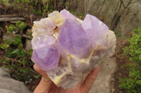 Natural Jacaranda Amethyst Clusters x 2 From Mumbwa, Zambia