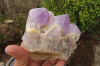 Natural Jacaranda Amethyst Clusters x 2 From Mumbwa, Zambia