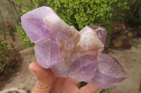 Natural Jacaranda Amethyst Clusters x 2 From Mumbwa, Zambia