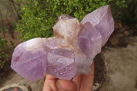 Natural Jacaranda Amethyst Clusters x 2 From Mumbwa, Zambia