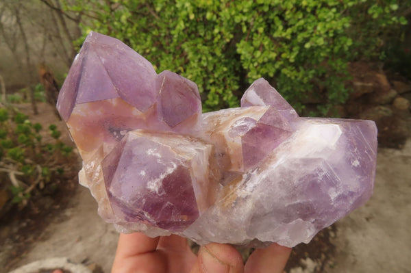 Natural Jacaranda Amethyst Clusters x 2 From Mumbwa, Zambia