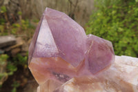 Natural Jacaranda Amethyst Clusters x 2 From Mumbwa, Zambia