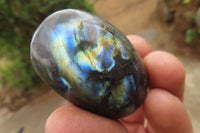 Polished Labradorite Galet / Palm Stones x 20 From Tulear, Madagascar