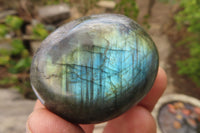 Polished Labradorite Galet / Palm Stones x 20 From Tulear, Madagascar