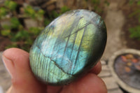 Polished Labradorite Galet / Palm Stones x 20 From Tulear, Madagascar