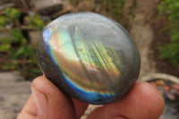 Polished Labradorite Galet / Palm Stones x 20 From Tulear, Madagascar