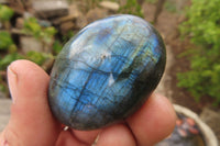 Polished Labradorite Galet / Palm Stones x 20 From Tulear, Madagascar