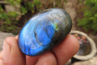 Polished Labradorite Galet / Palm Stones x 20 From Tulear, Madagascar