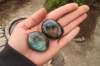 Polished Labradorite Galet / Palm Stones x 20 From Tulear, Madagascar