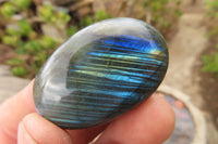 Polished Labradorite Galet / Palm Stones x 20 From Tulear, Madagascar