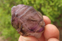 Natural Amethyst Crystal Specimens x 20 From Chiredzi, Zimbabwe