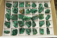 Natural Silky Malachite Specimens x 35 From Kasompe, Congo