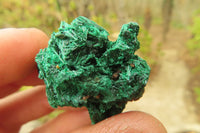 Natural Silky Malachite Specimens x 35 From Kasompe, Congo