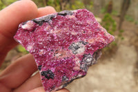 Natural Salrose Cobaltion Dolomite Specimens x 12 From Kakanda, Congo